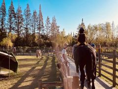 -前小桔亲子创意农场·草莓采摘·露营烧烤