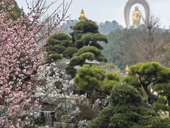 -庐山风景名胜区-东林大佛