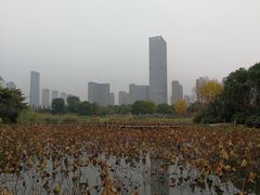 -艾溪湖湿地公园