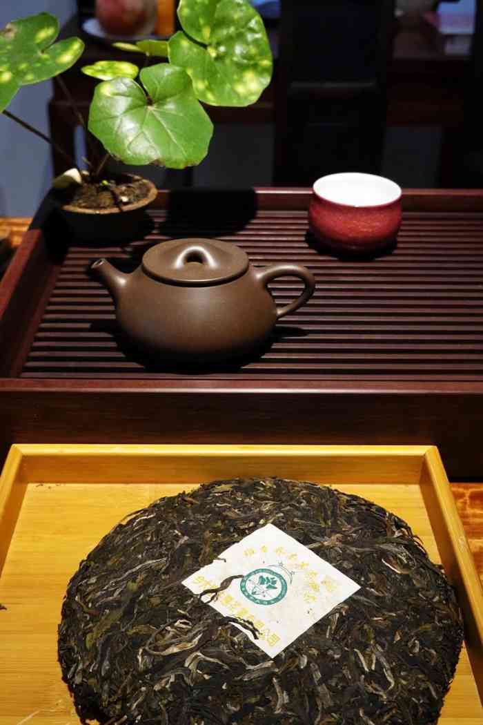 茶缘茶城-"***马连道未端茶缘茶城算是一个较为低调."-大众点评移动版