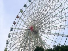 -温州乐园