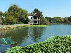 -西湖外事游船(花港观鱼码头)