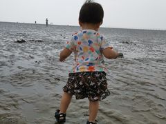-南汇新城海滩