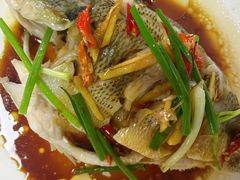 -天鹅到家·保姆月嫂育儿嫂(朝阳店)