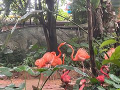 -长鹿旅游休博园