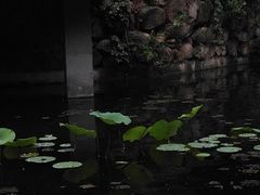 -天津盘山风景名胜区