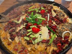 -老板恋上鱼(恒隆广场店)