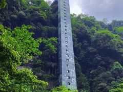 -碧峰峡风景区