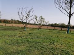 -汉长安城未央宫国家考古遗址公园