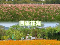 -盈香心动乐园