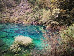 -叠溪松坪沟景区