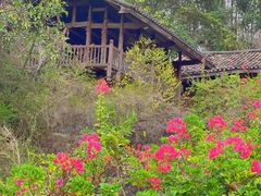 -深圳国际园林花卉博览园