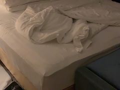 -苏州金鸡湖大酒店