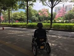 -深圳龙潭公园