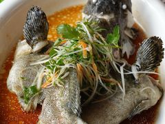 -大门水乡·顺德菜