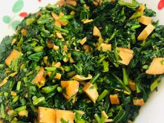 -南汇老顾农家乐采摘大团水蜜桃采摘店