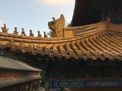 -普陀山风景名胜区-法雨禅寺