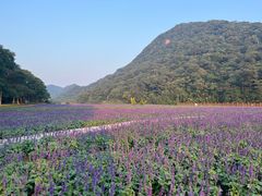 -广州市石门国家森林公园