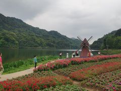 -广州市石门国家森林公园