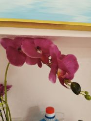 点击看大图 -薇兰专业脱毛连锁机构