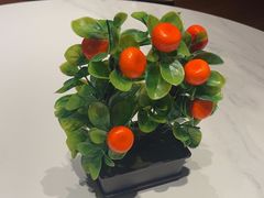 -新海渔港·胶东海鲜家常菜·家宴(奥体中心店)