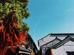 -浏河古镇