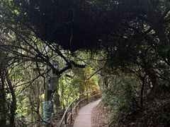 -南丫岛