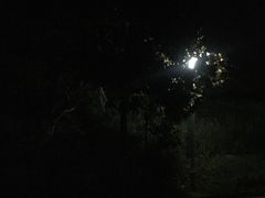 -达蓬山旅游度假区