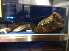 -頂好酒家·经典粤菜(海信广场店)