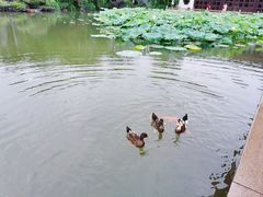 -杭州西子湖四季酒店-WL BISTRO西湖餐厅(灵隐路店)