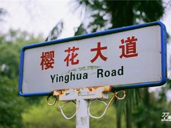 -武汉大学-樱园