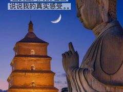 -唐猫庭院·千年陕菜(大唐不夜城店)