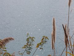 -孔雀湖生态旅游区