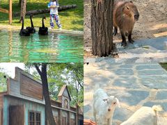 -南戴河国际娱乐中心