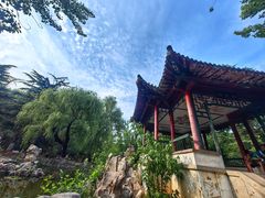 -山东师范大学(千佛山校区)
