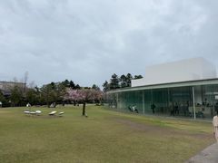 -金泽21世纪美术馆