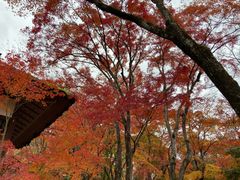 -常寂光寺