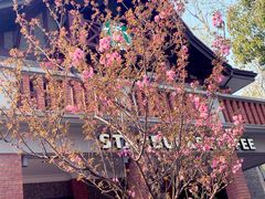 -星巴克臻选(思南公馆店)