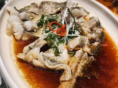 清蒸大黄鱼-华盛丰温州大排档(东三环南路店)