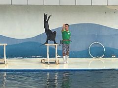 -北戴河圣蓝海洋公园