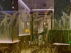 -森Some Fusion(荔湾店)