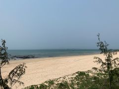 -北海金海湾红树林生态旅游区