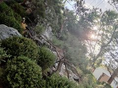 -熙古里艺术村