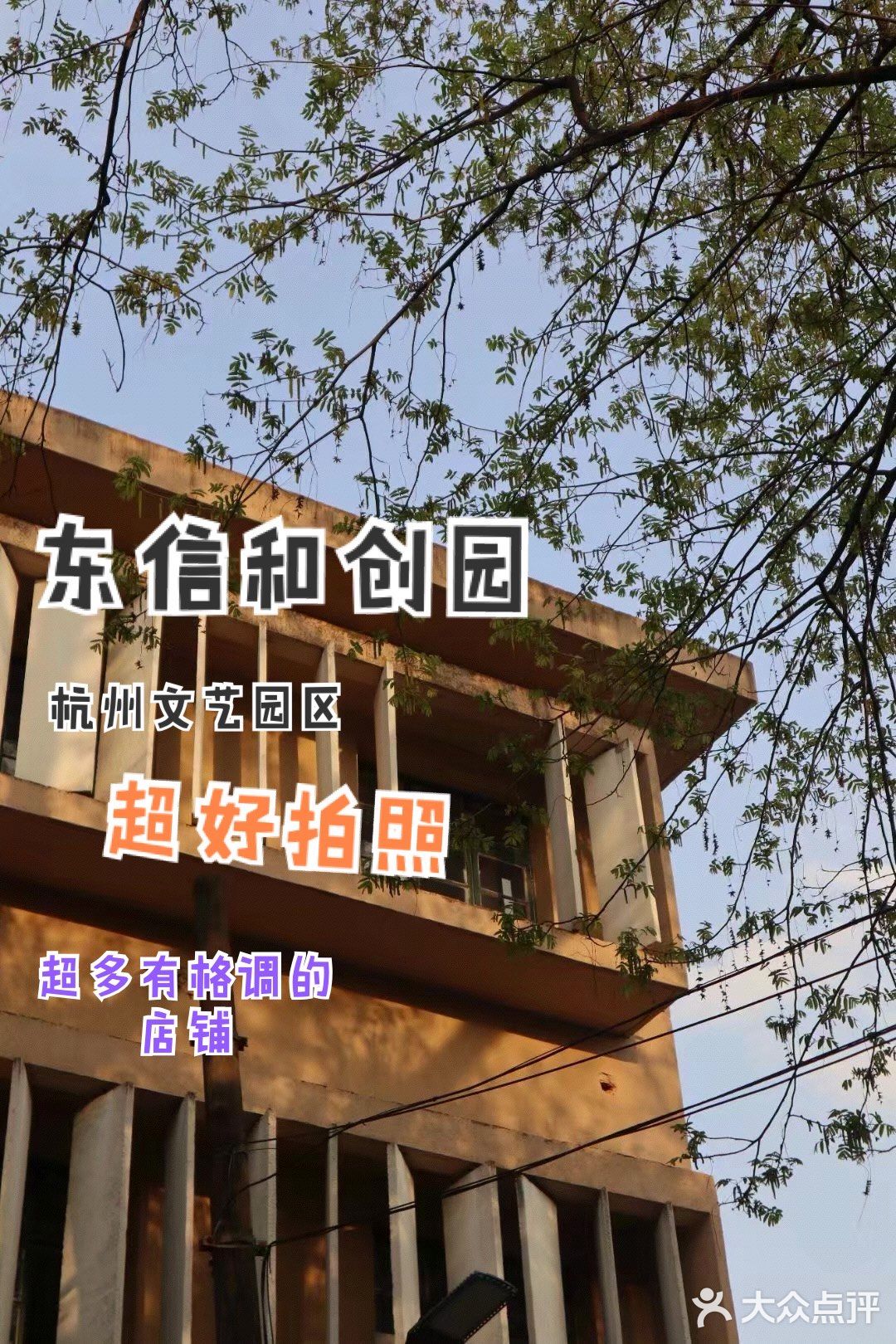 东信·和创园｜周末拍拍拍的好地方 建议收藏