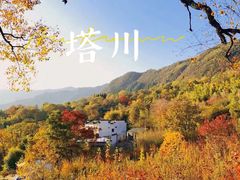 -塔川景区