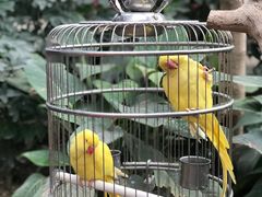 -南宫五洲植物乐园