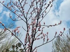 -吉林大学(南岭校区)