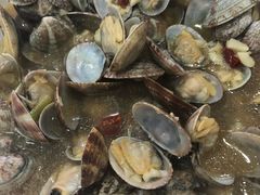 -大叔家福鼎小吃(十全街店)