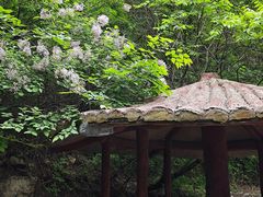 -黄花溪