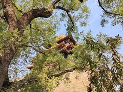 -东华门大街小区